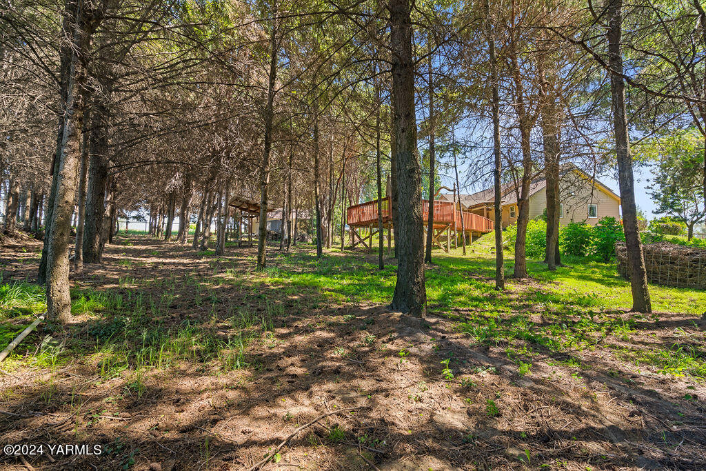 1241 Nelson Road Granger, WA 98932 - Photo 36 of 45 a view of outdoor space with trees