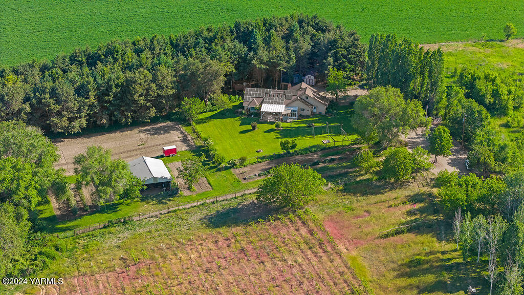 1241 Nelson Road Granger, WA 98932 - Photo 43 of 45 a view of a back yard