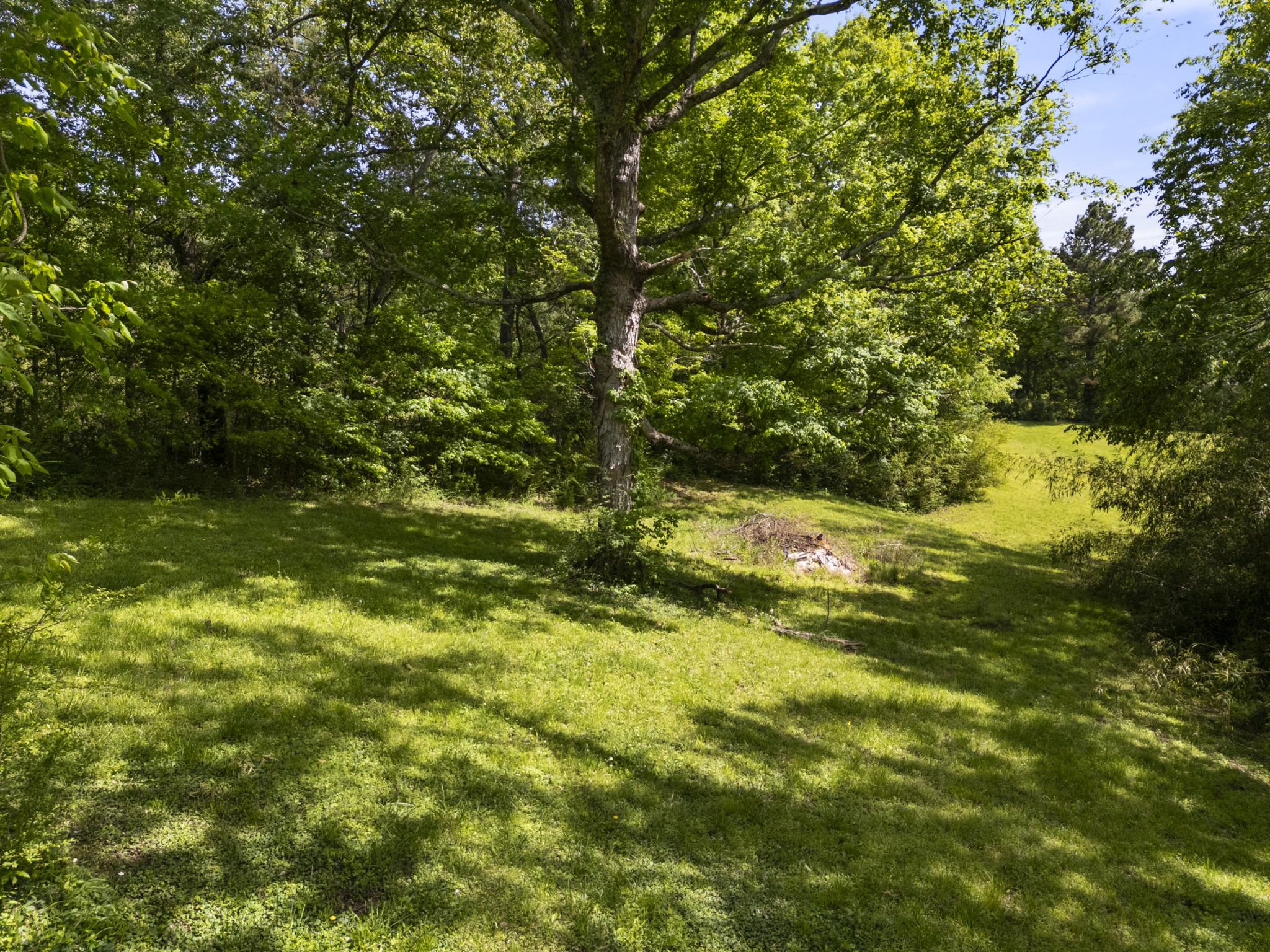 444 Cooley Road Waverly, TN 37185 - Photo 34 of 47