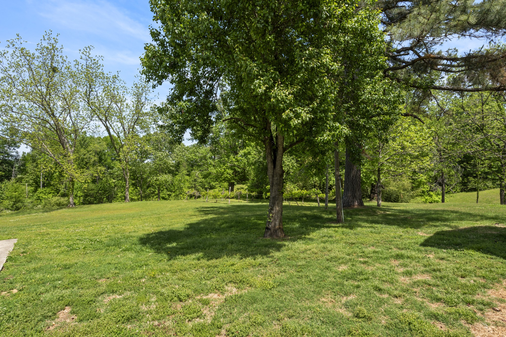 444 Cooley Road Waverly, TN 37185 - Photo 38 of 47