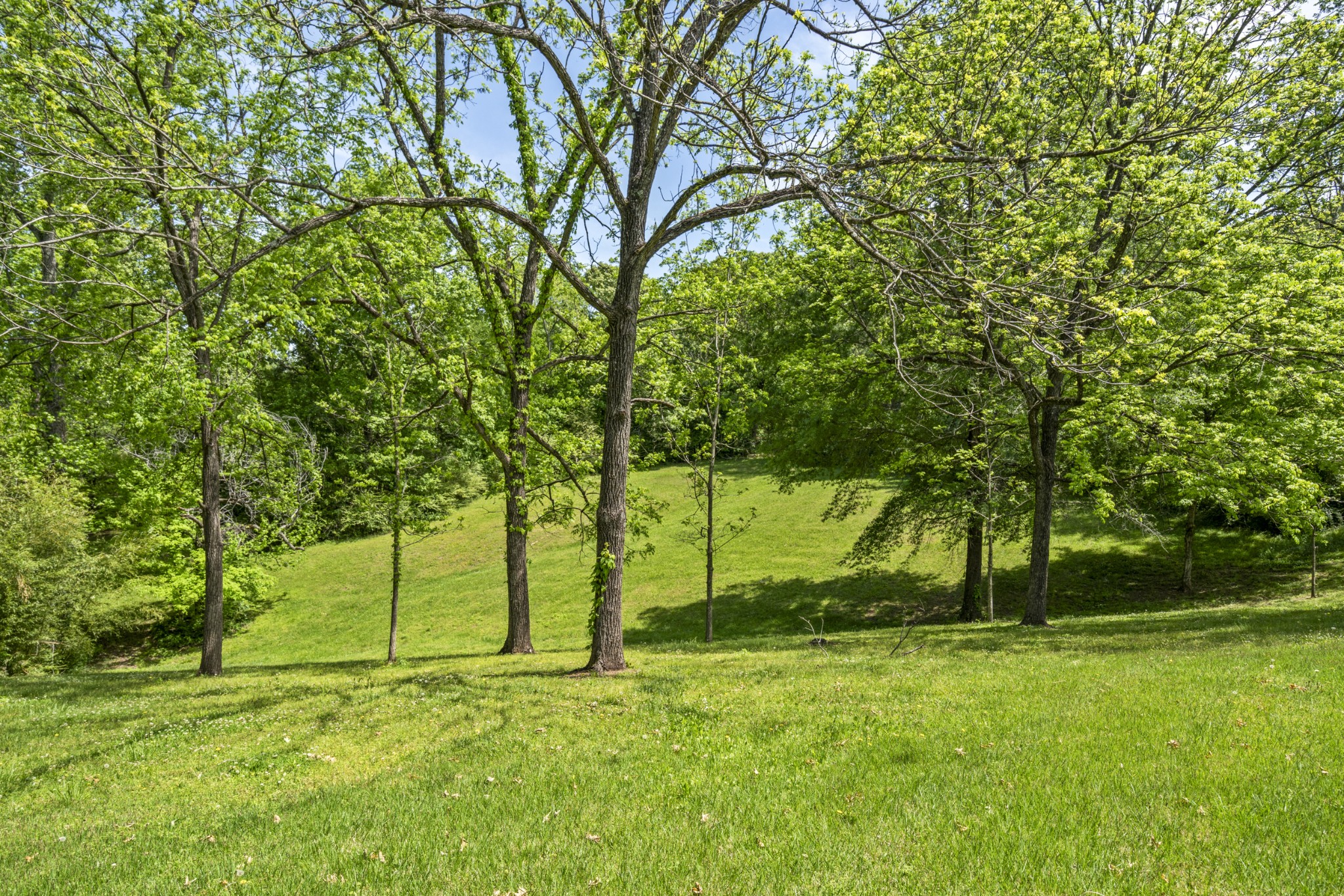 444 Cooley Road Waverly, TN 37185 - Photo 39 of 47