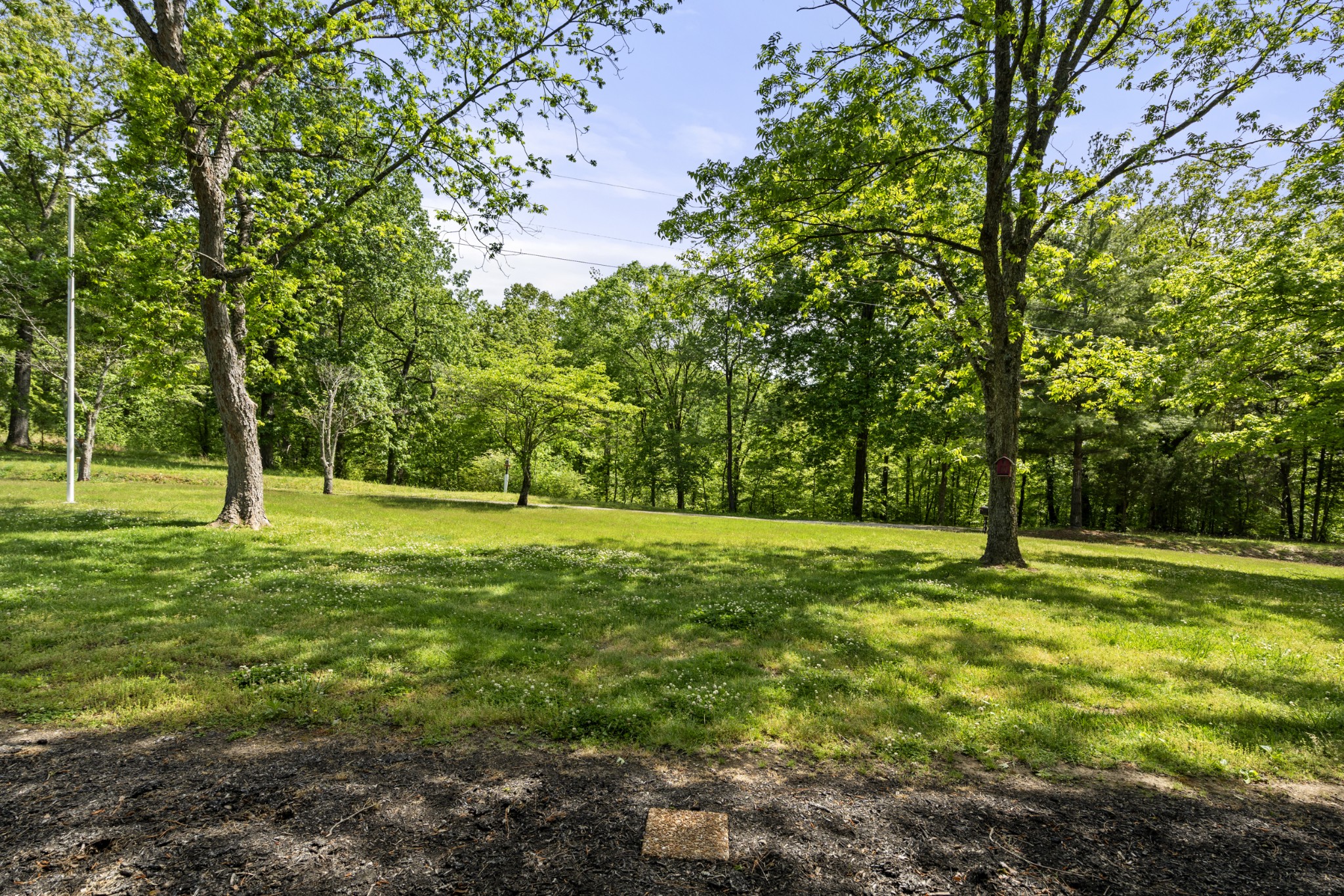 444 Cooley Road Waverly, TN 37185 - Photo 41 of 47
