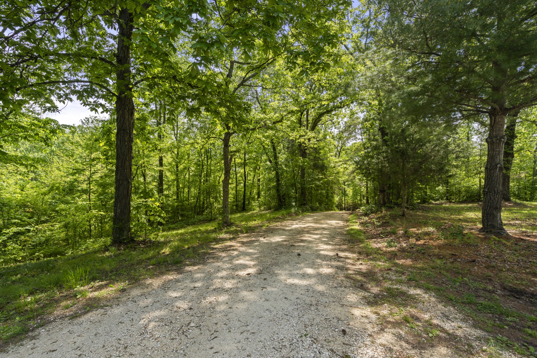 444 Cooley Road Waverly, TN 37185 - Photo 42 of 47