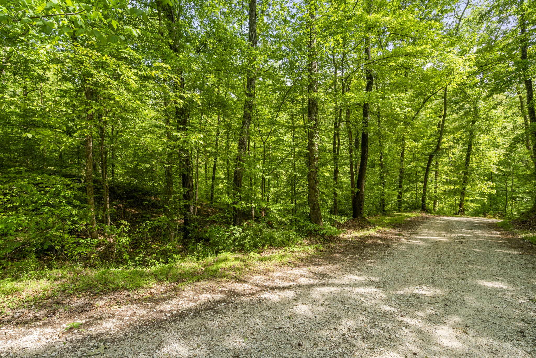 444 Cooley Road Waverly, TN 37185 - Photo 44 of 47