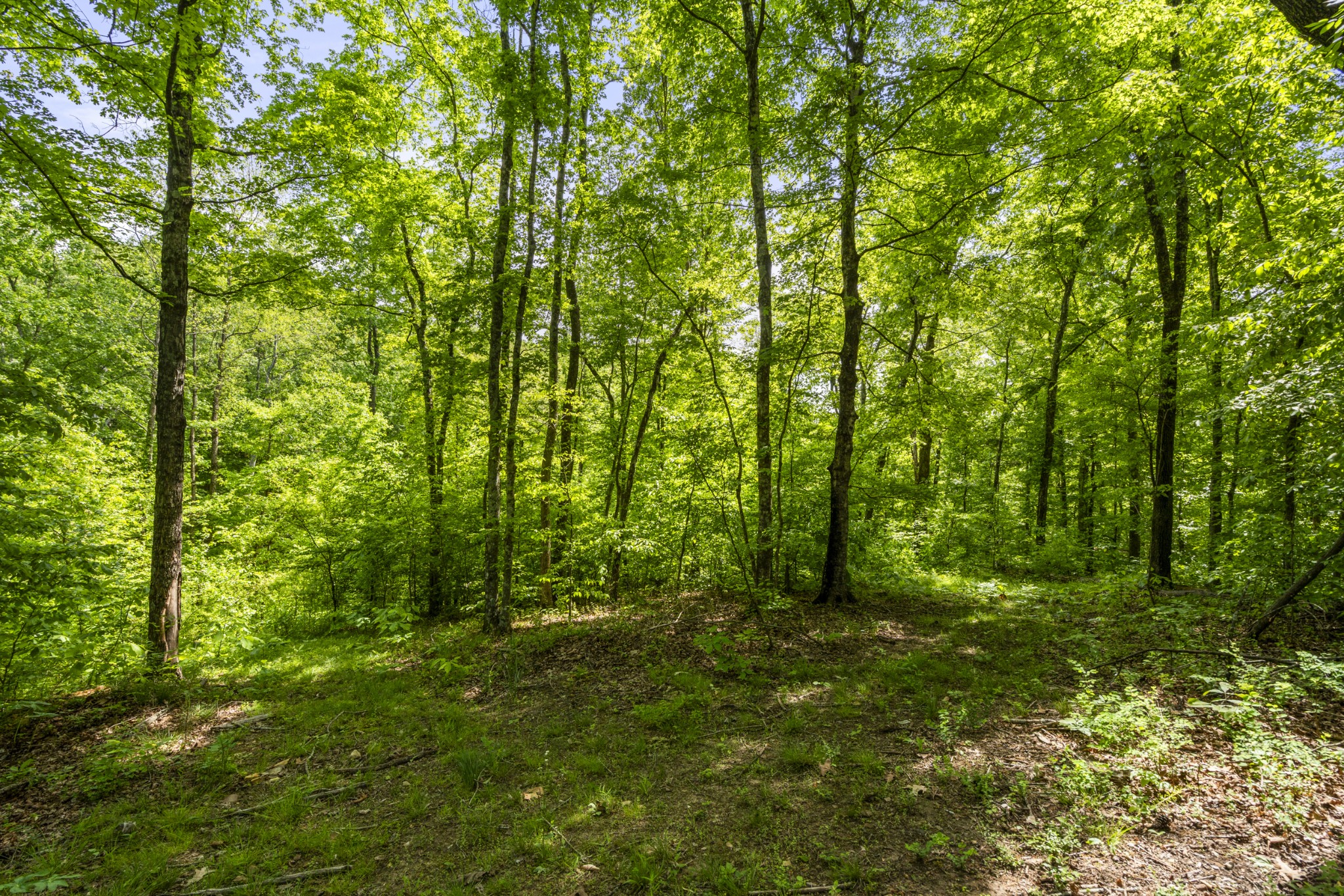 444 Cooley Road Waverly, TN 37185 - Photo 45 of 47
