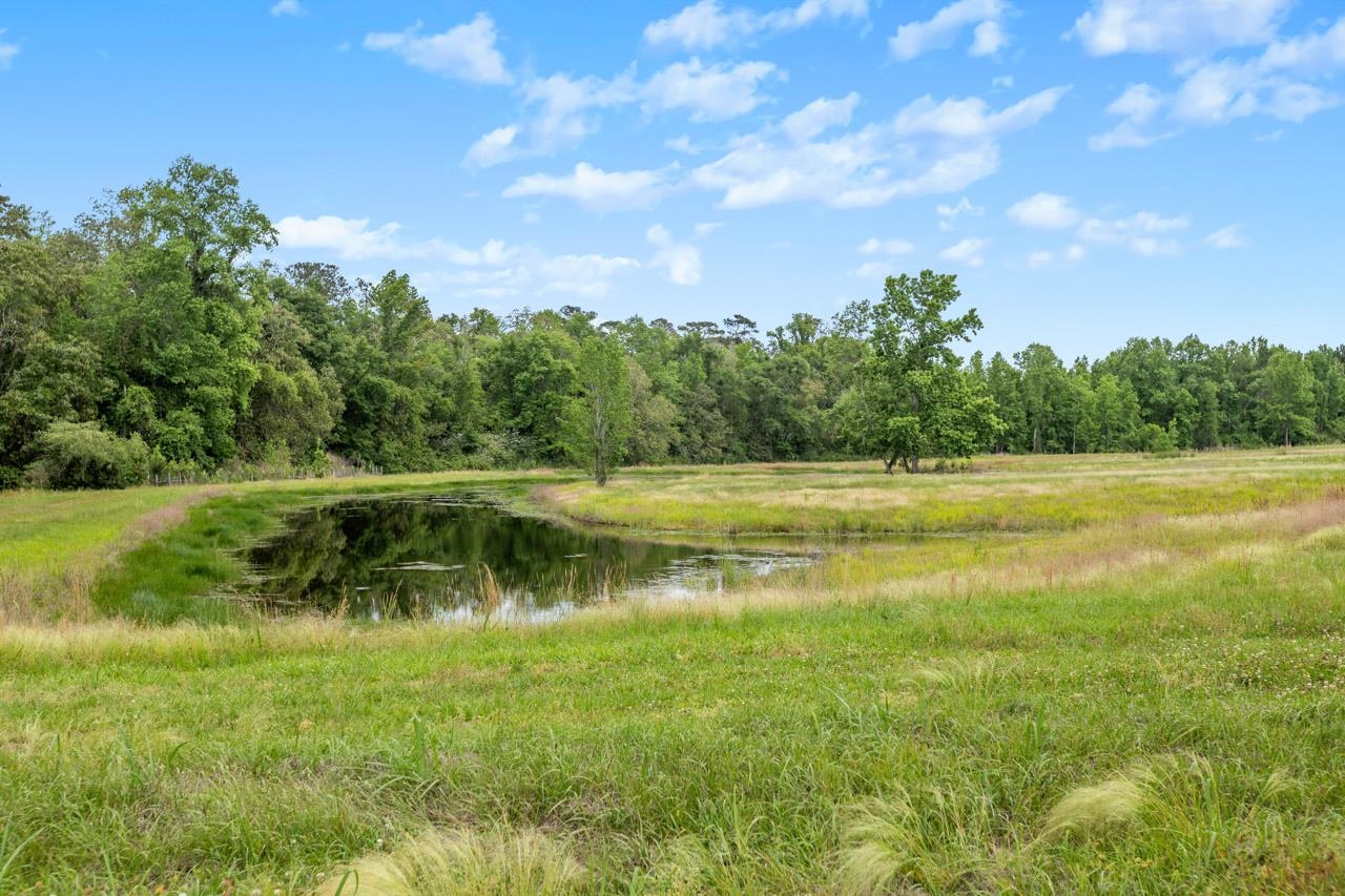 1590 Tyson Road Monticello, FL 32344 - Photo 51 of 56