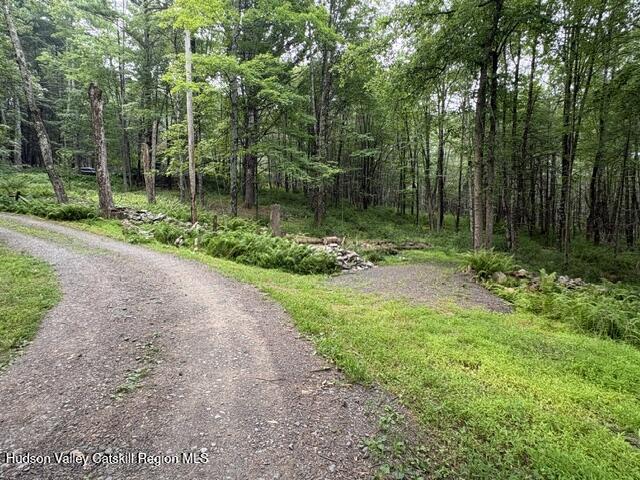 154 Lang Road Accord, NY 12404 - Photo 4 of 40 IMG_3725