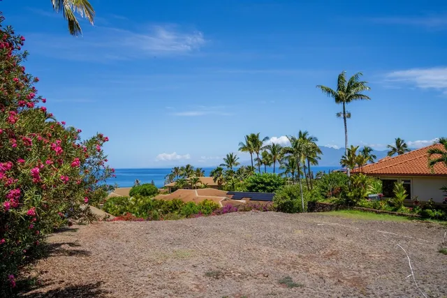 a view of a plants with a flower in a garden
