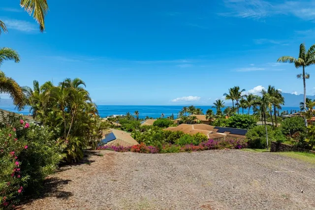 a picture of plants and palm trees