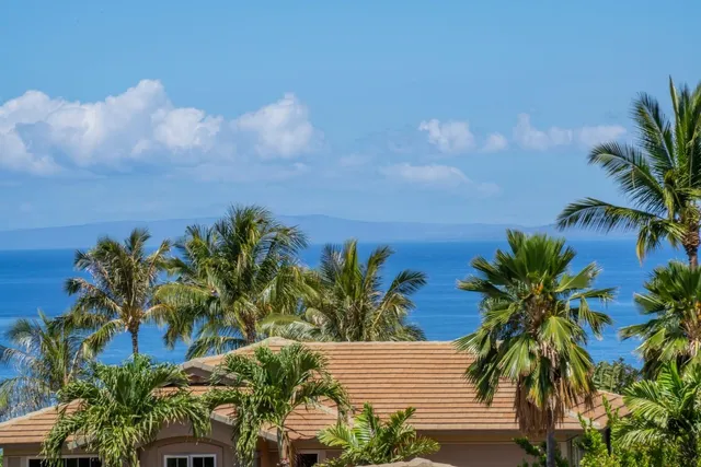 a view of a house with a palm tree and a yard
