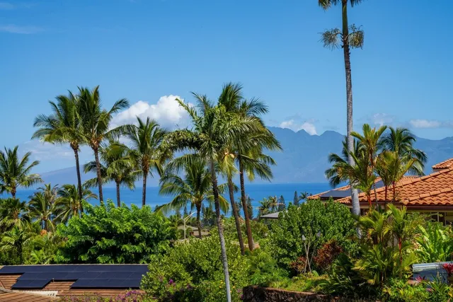 a palm tree sitting in front of a house
