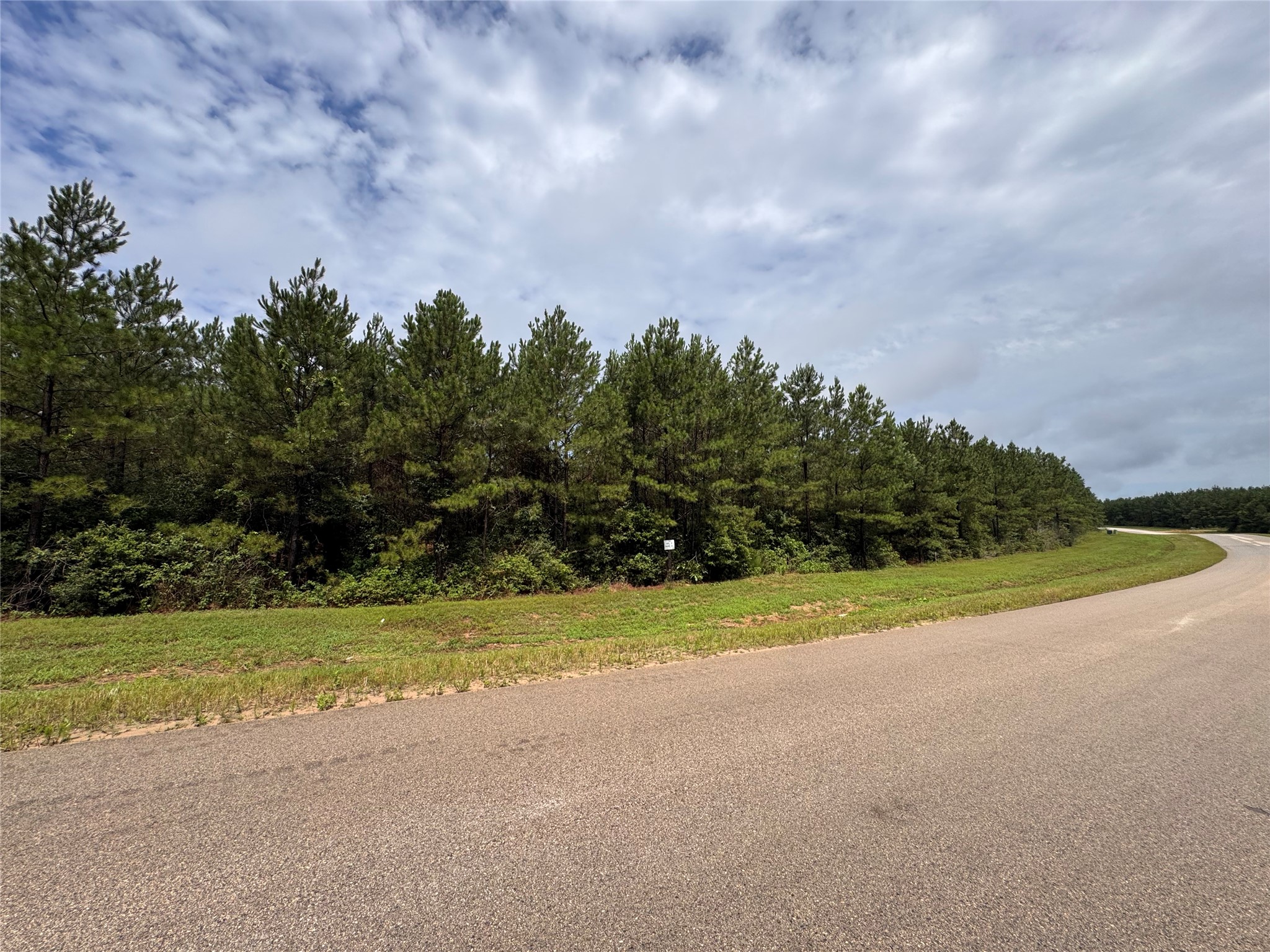 12950 Oak Barrel Road Willis, TX 77378 - Photo 5 of 21