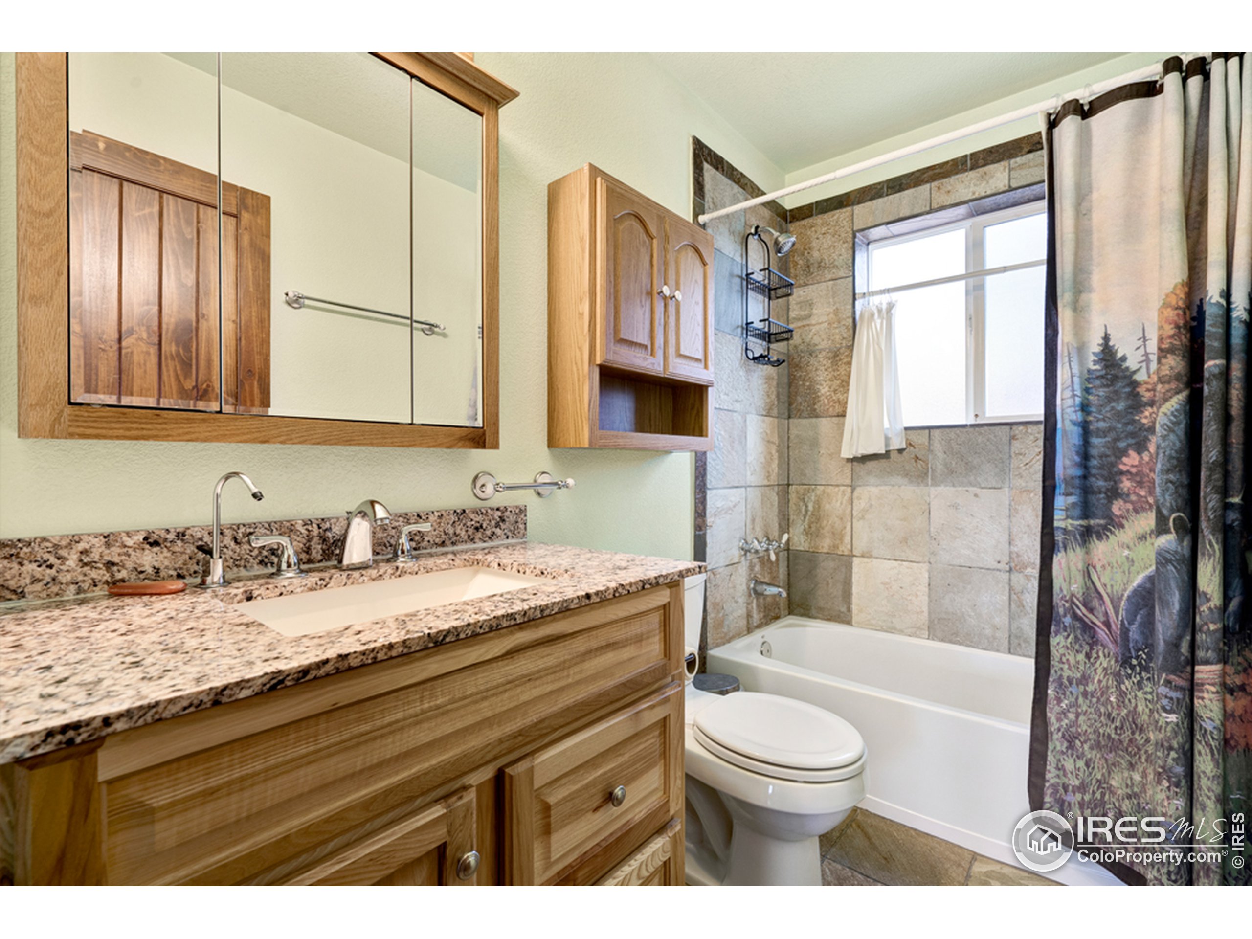 1075 Meadows Drive Drake, CO 80515 - Photo 13 of 30 a bathroom with a granite countertop sink toilet mirror vanity and bathtub