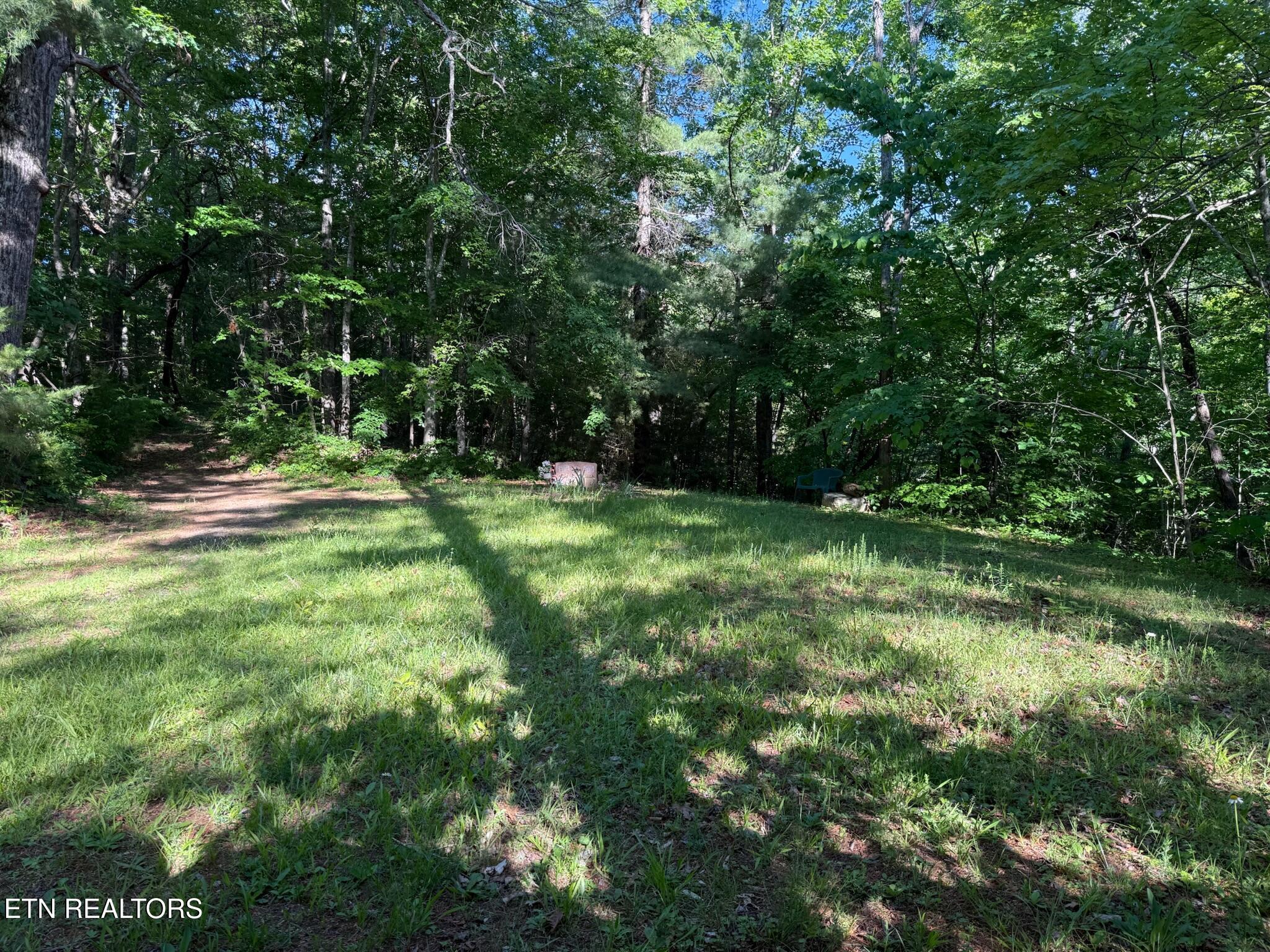 992 Chicken Hollow Road Newport, TN 37821 - Photo 15 of 37 IMG_0103