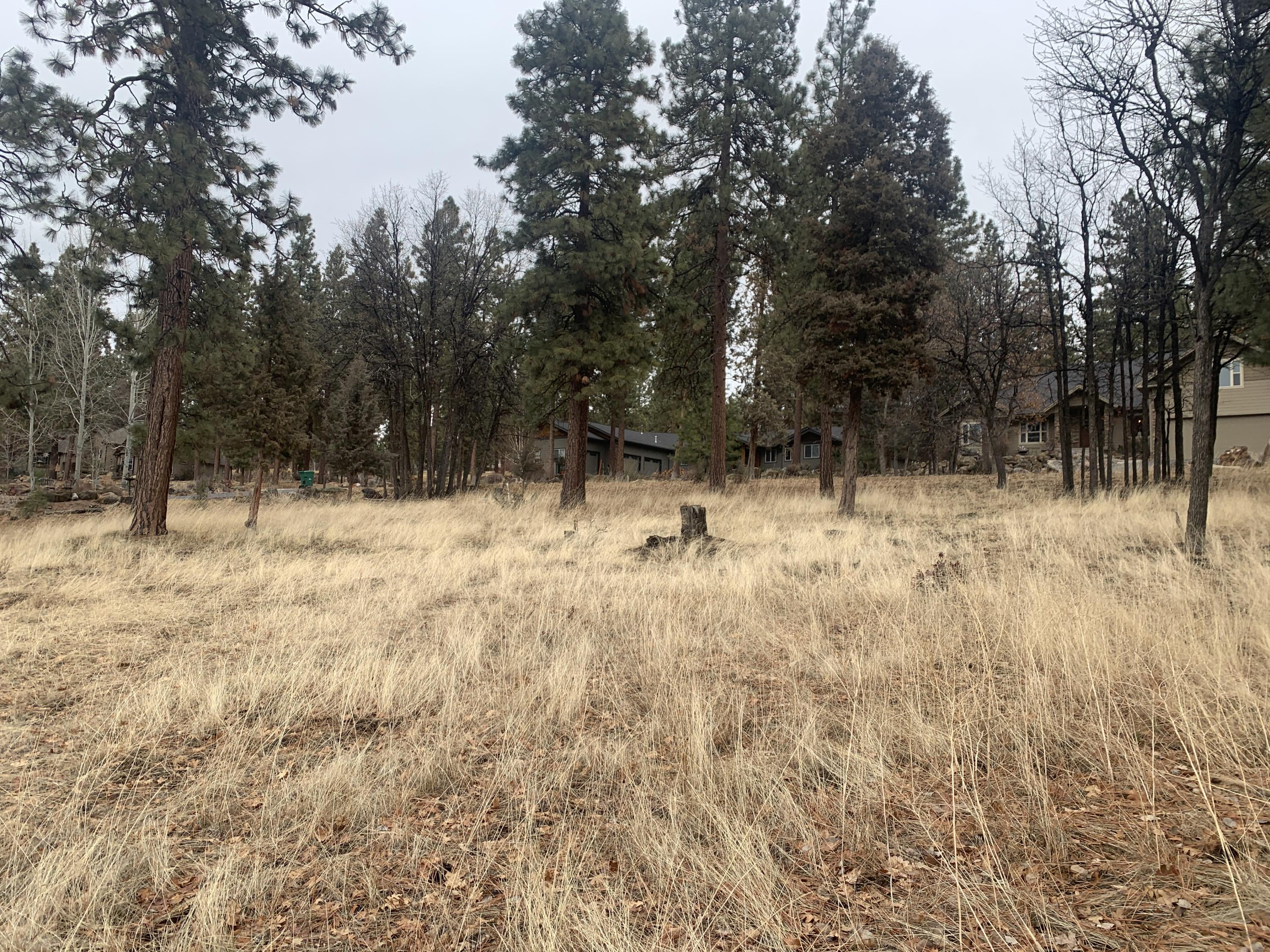 Lot 69 Merganser Road Klamath Falls, OR 97601 - Photo 20 of 20 IMG_9661