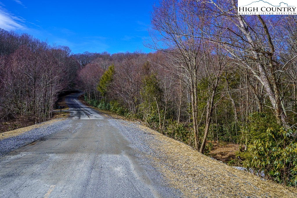 Worley Road Banner Elk, NC 28604 - Photo 5 of 16
