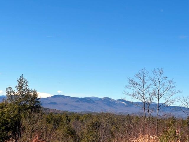 Lot 15 Lovell Road Harrison, ME 04040 - Photo 6 of 14 Stunning views!