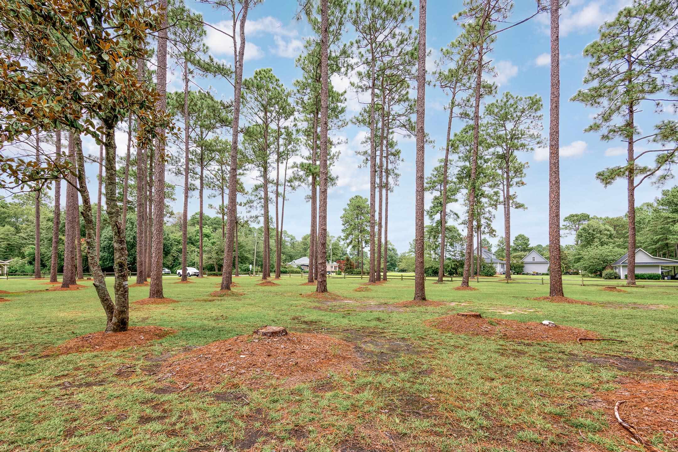 481 State Rd S-26-570 Loris, SC 29569 - Photo 36 of 40