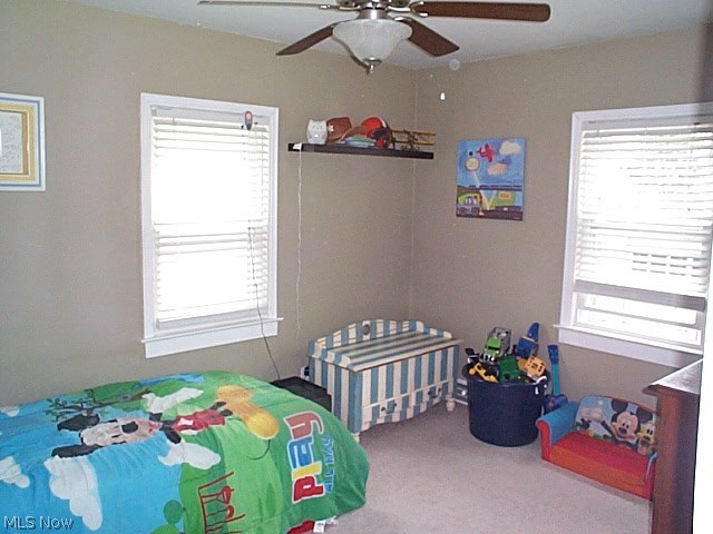 1352 Gordon Road Lyndhurst, OH 44124 - Photo 20 of 33