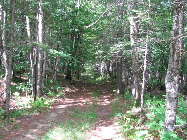 3 Weld Street Carthage, ME 04224 - Photo 8 of 24 IMG_3079