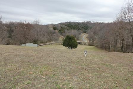 2045 Old Lake Road Lewisburg, TN 37091 - Photo 7 of 7 View from top of Hill
