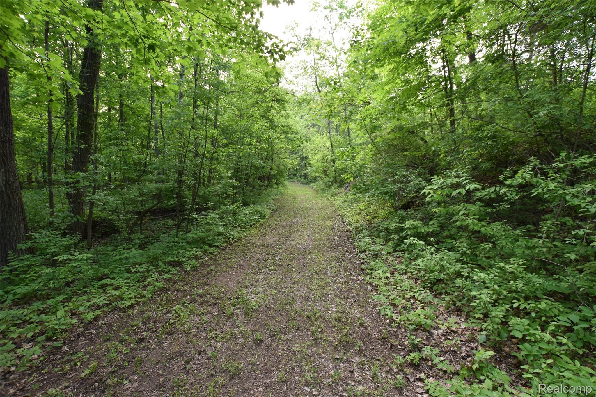 12221 North Bray Road Clio, MI 48420 - Photo 29 of 34 Trail 3.JPG