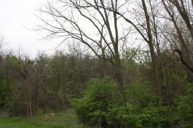 0 Peters Road Ashley, OH 43003 - Photo 7 of 7 7
