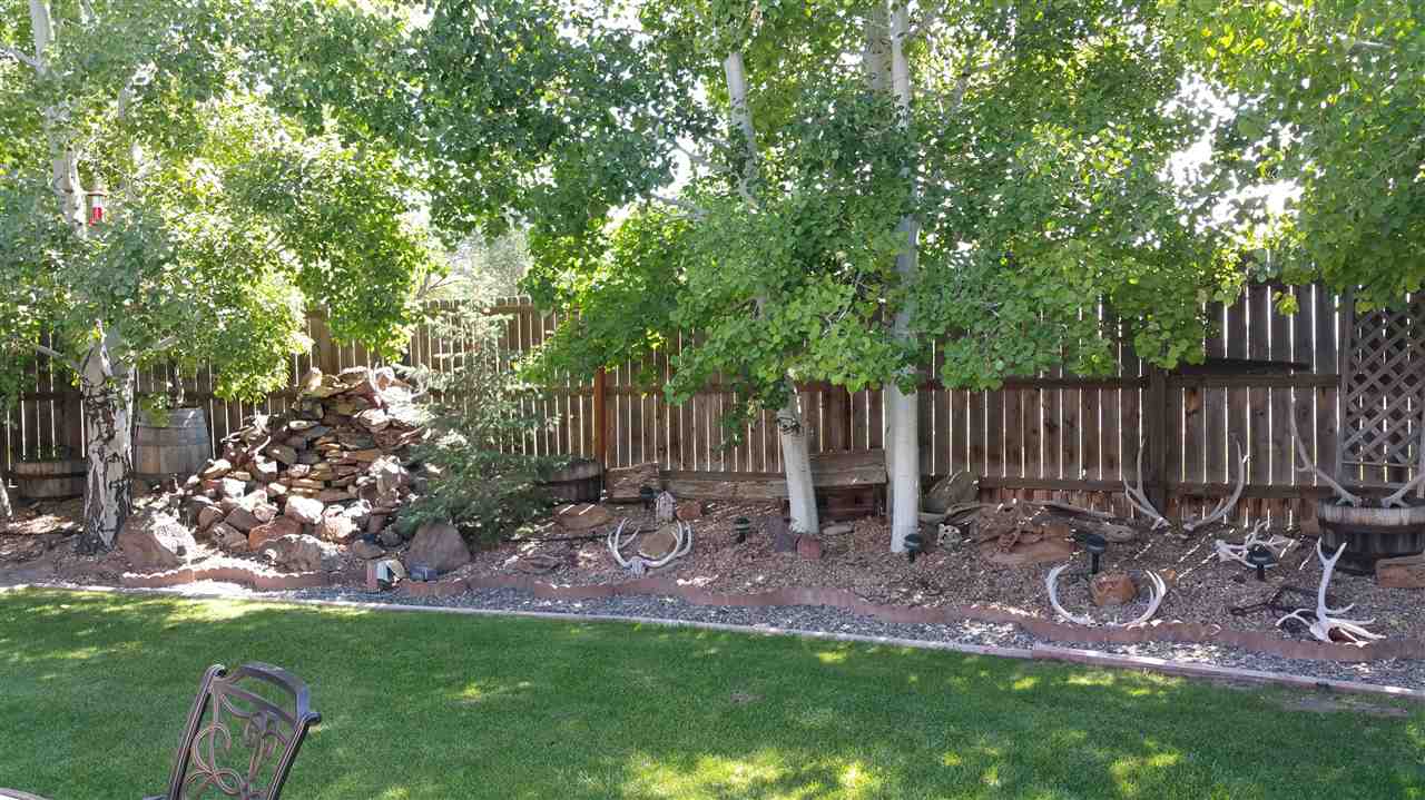 662 Andromeda Way Fruita, CO 81521 - Photo 20 of 34 Gallery Image 20