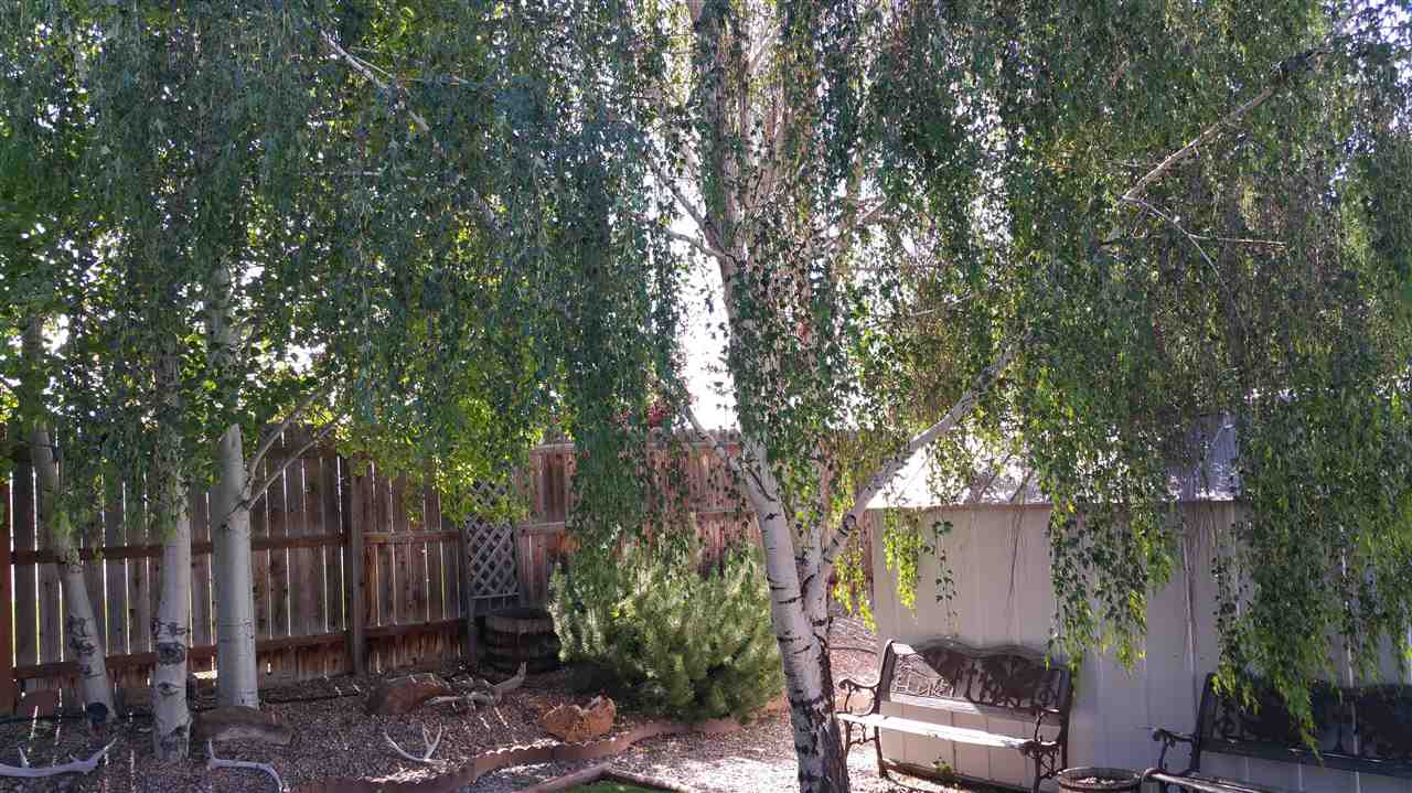 662 Andromeda Way Fruita, CO 81521 - Photo 22 of 34 Gallery Image 22