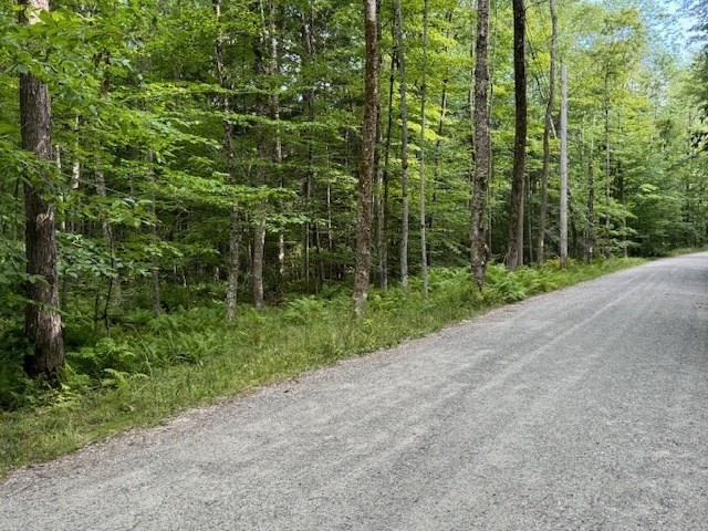 Lot 119 Davis Mine Road Rowe, MA 01367 - Photo 5 of 19 Gallery Image 5