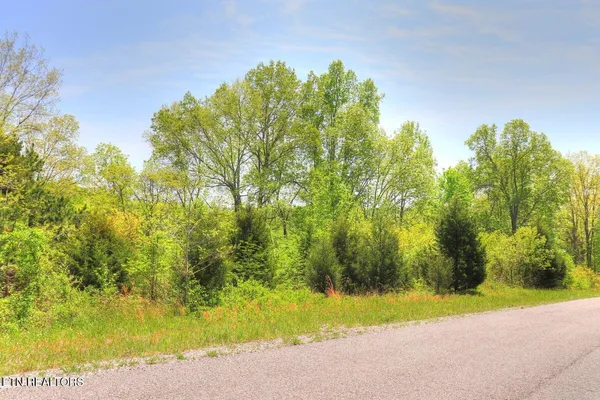 $24,900 | Lot 172 Saddle Ridge Drive, Speedwell, TN 37870