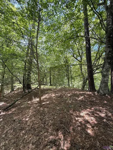 $575,000 | 7735 A Old Tunica Road, St. Francisville, LA 70775