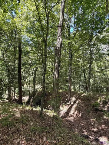 $575,000 | 7735 A Old Tunica Road, St. Francisville, LA 70775