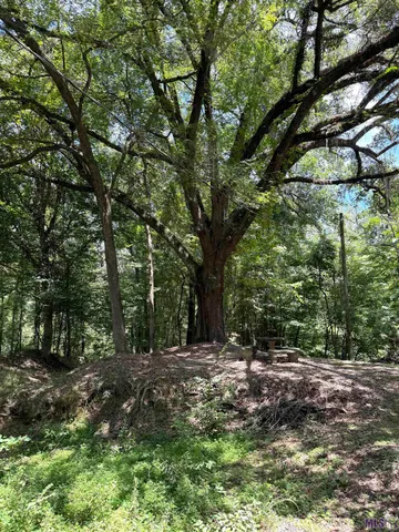 $575,000 | 7735 A Old Tunica Road, St. Francisville, LA 70775