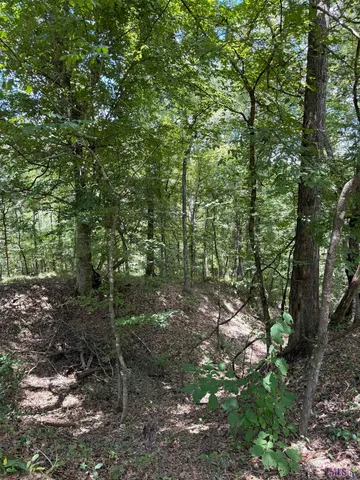 $575,000 | 7735 A Old Tunica Road, St. Francisville, LA 70775