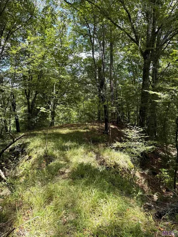 $575,000 | 7735 A Old Tunica Road, St. Francisville, LA 70775