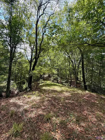 $575,000 | 7735 A Old Tunica Road, St. Francisville, LA 70775