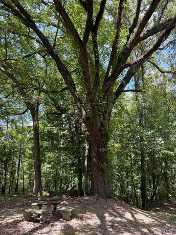 $575,000 | 7735 A Old Tunica Road, St. Francisville, LA 70775