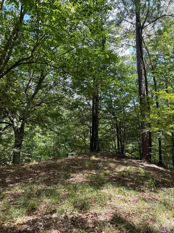 $575,000 | 7735 A Old Tunica Road, St. Francisville, LA 70775