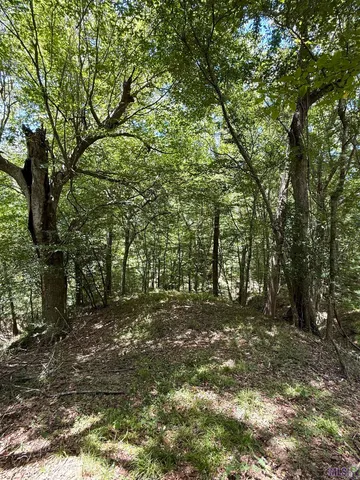 $575,000 | 7735 A Old Tunica Road, St. Francisville, LA 70775