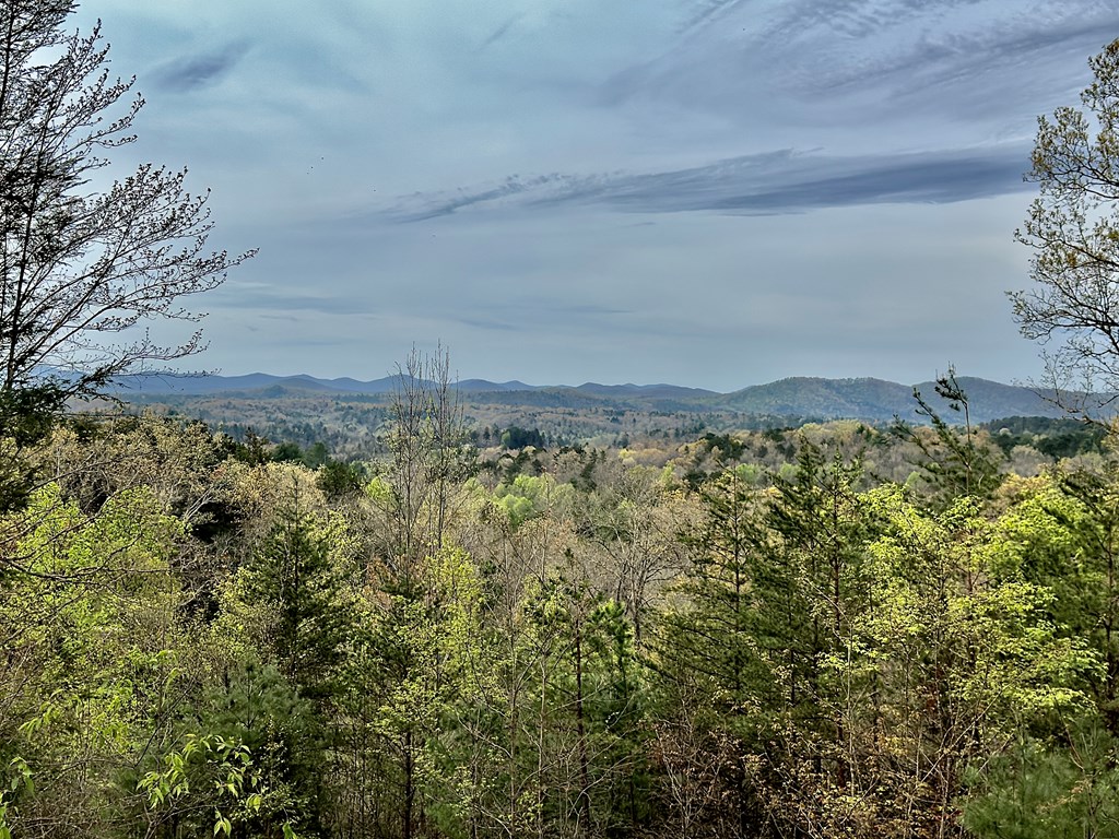 29 Crimson Oak Ridge Murphy, NC 28906 - Photo 23 of 23