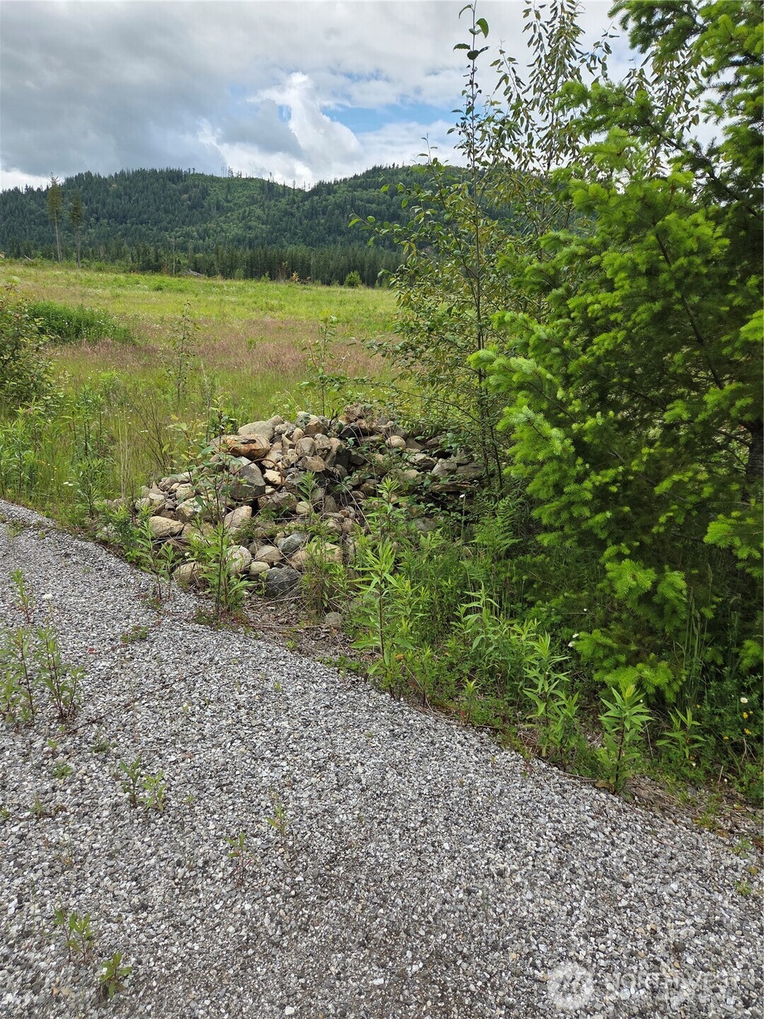9242 Heady Road Sumas, WA 98295 - Photo 3 of 7
