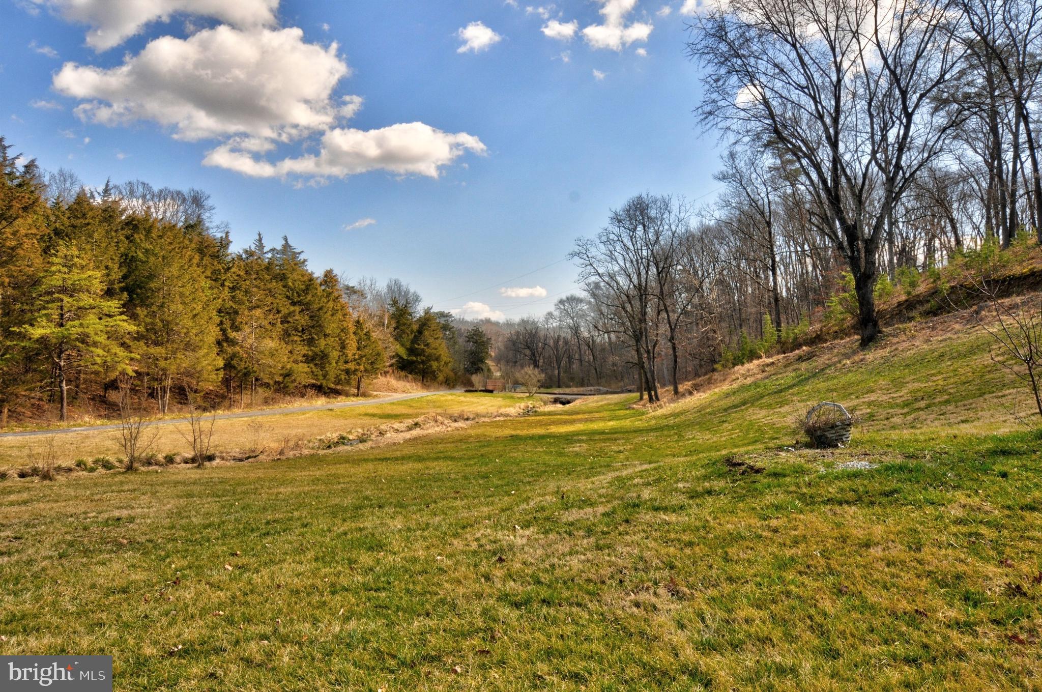 211 Ranger Court Winchester, VA 22602 - Photo 36 of 73 Front Ryard