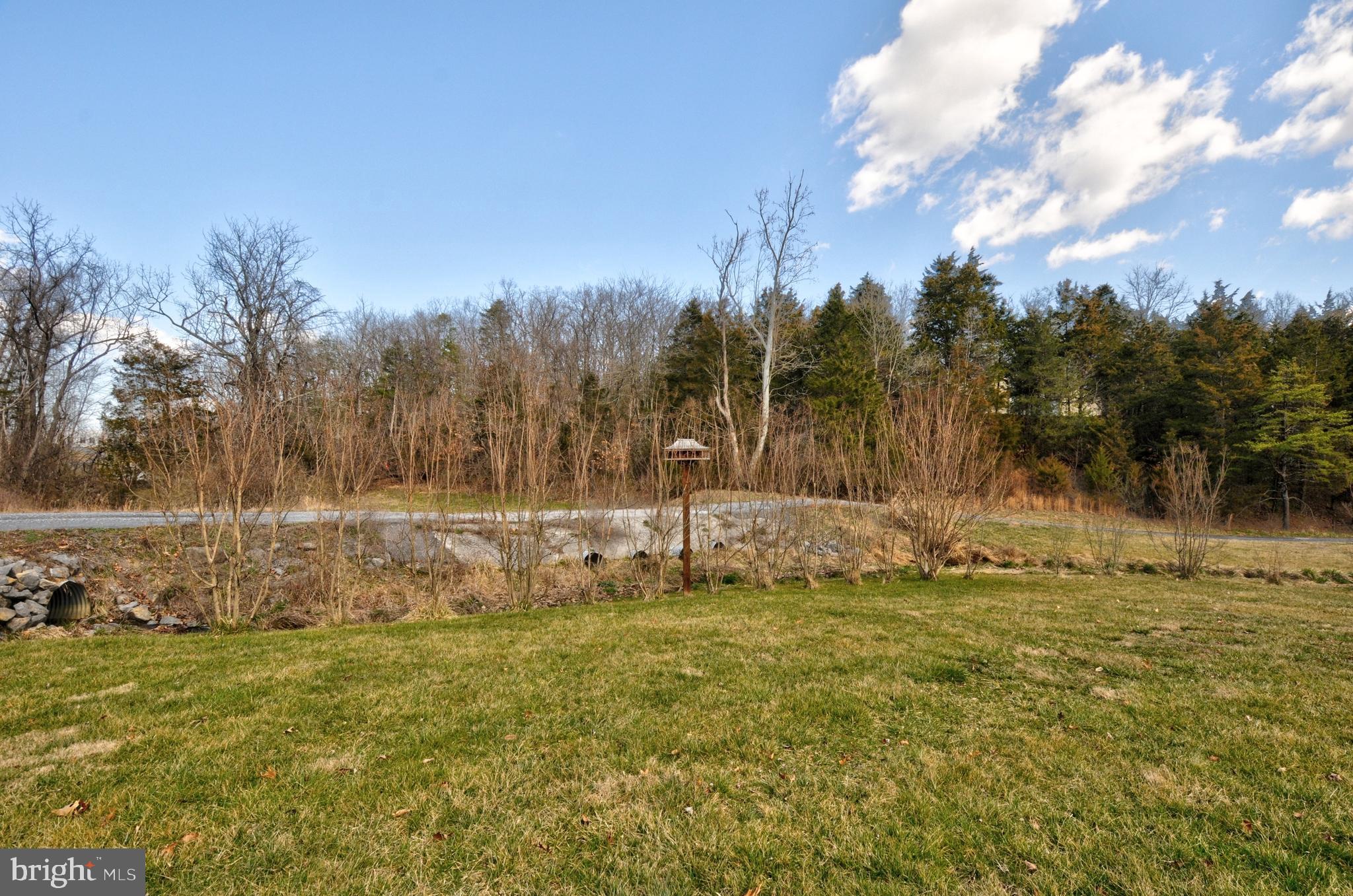 211 Ranger Court Winchester, VA 22602 - Photo 37 of 73 Front Yard