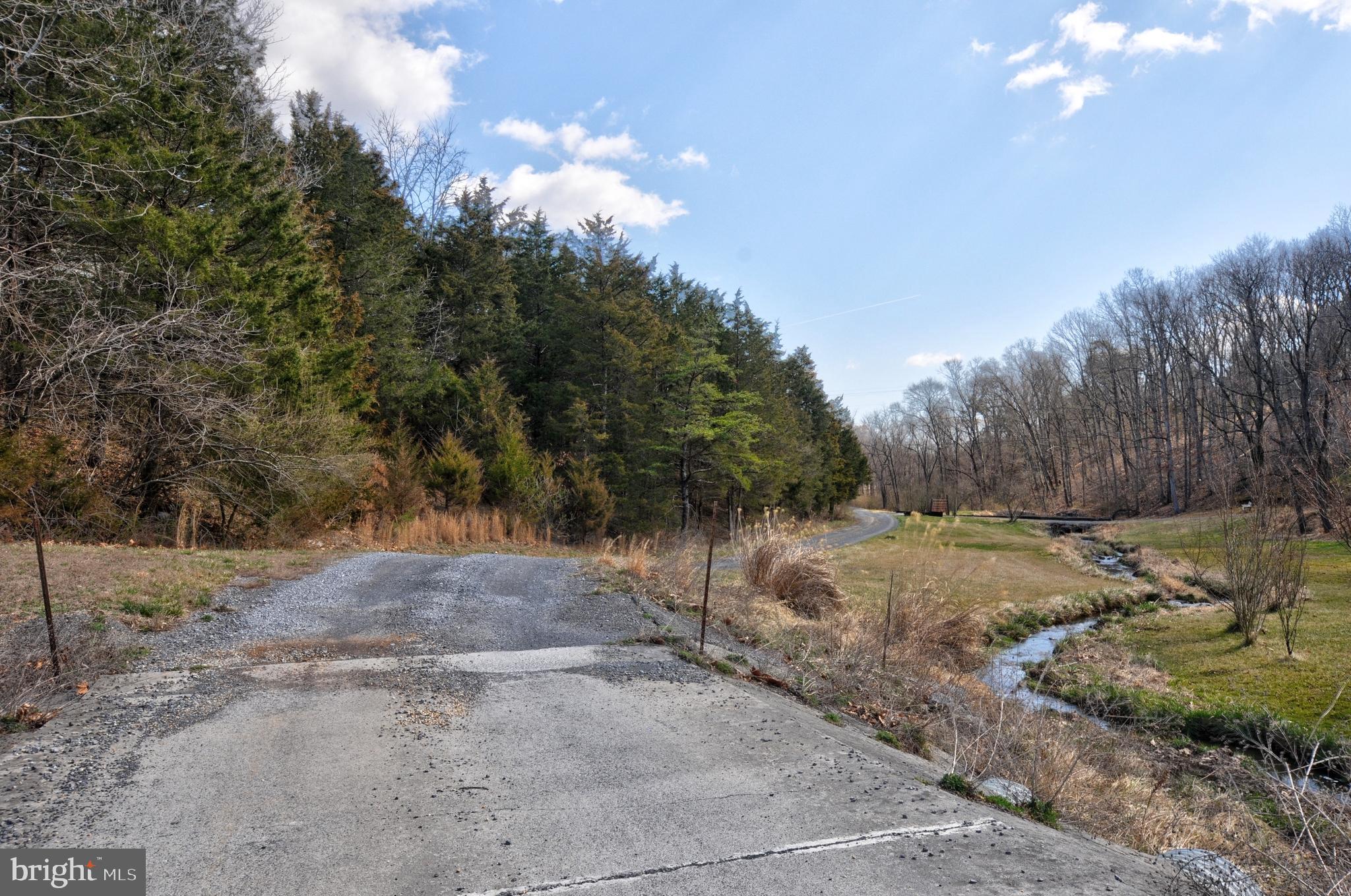 211 Ranger Court Winchester, VA 22602 - Photo 38 of 73 Driveway
