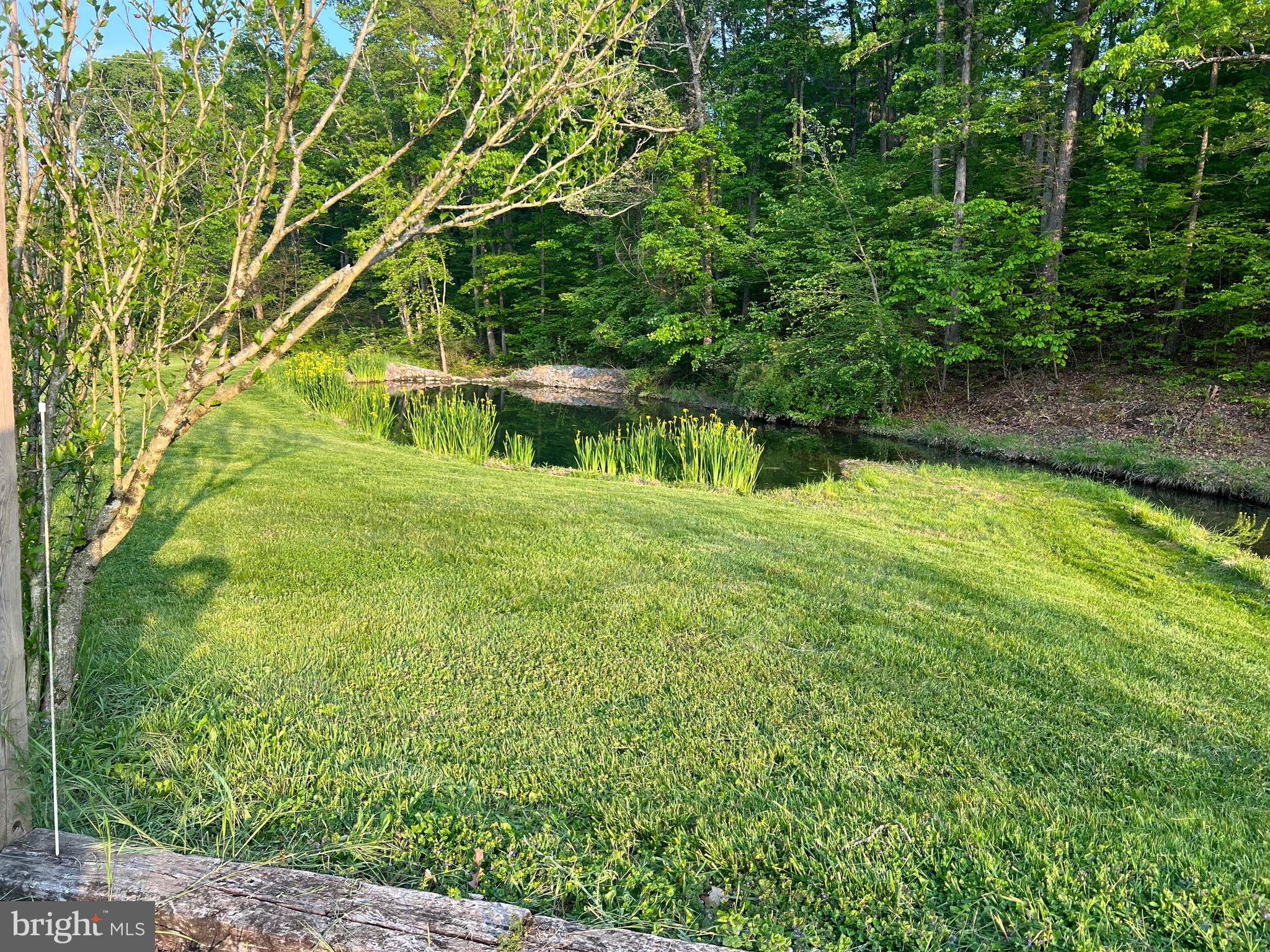 211 Ranger Court Winchester, VA 22602 - Photo 4 of 73