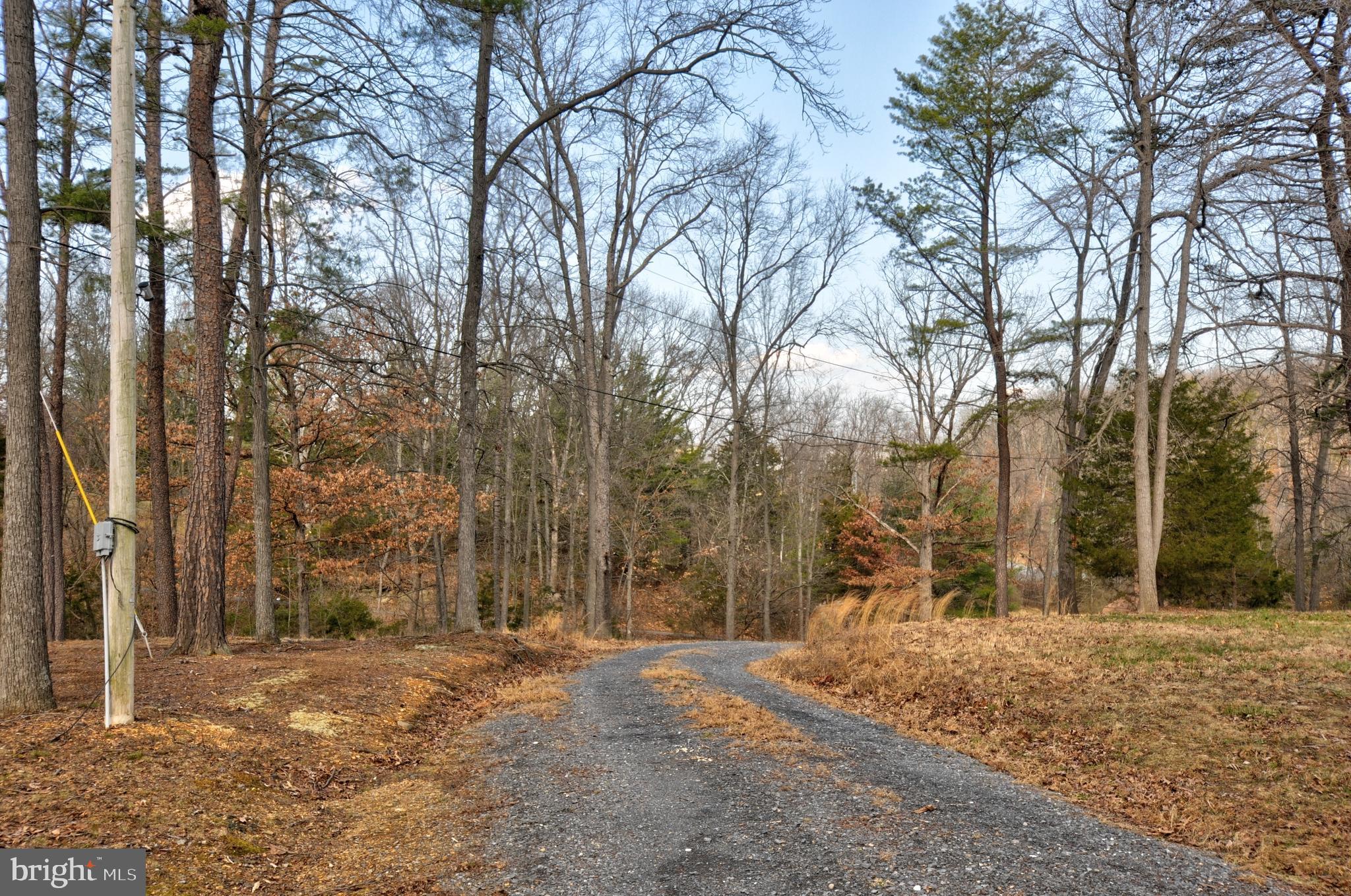211 Ranger Court Winchester, VA 22602 - Photo 44 of 73 Upper area driveway
