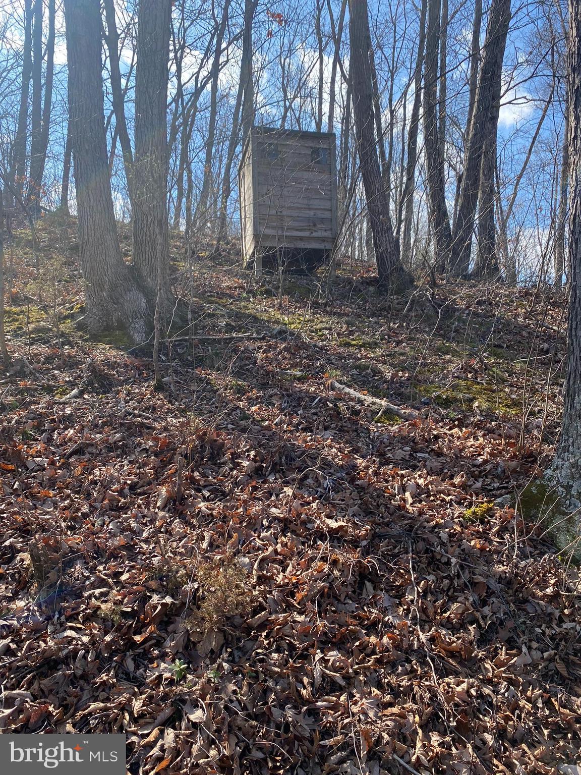 211 Ranger Court Winchester, VA 22602 - Photo 55 of 73 Deer blind