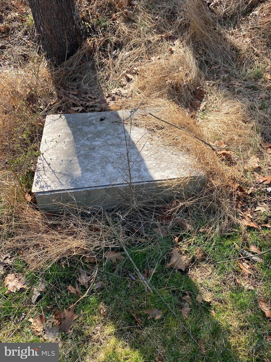 211 Ranger Court Winchester, VA 22602 - Photo 56 of 73 Natural Spring