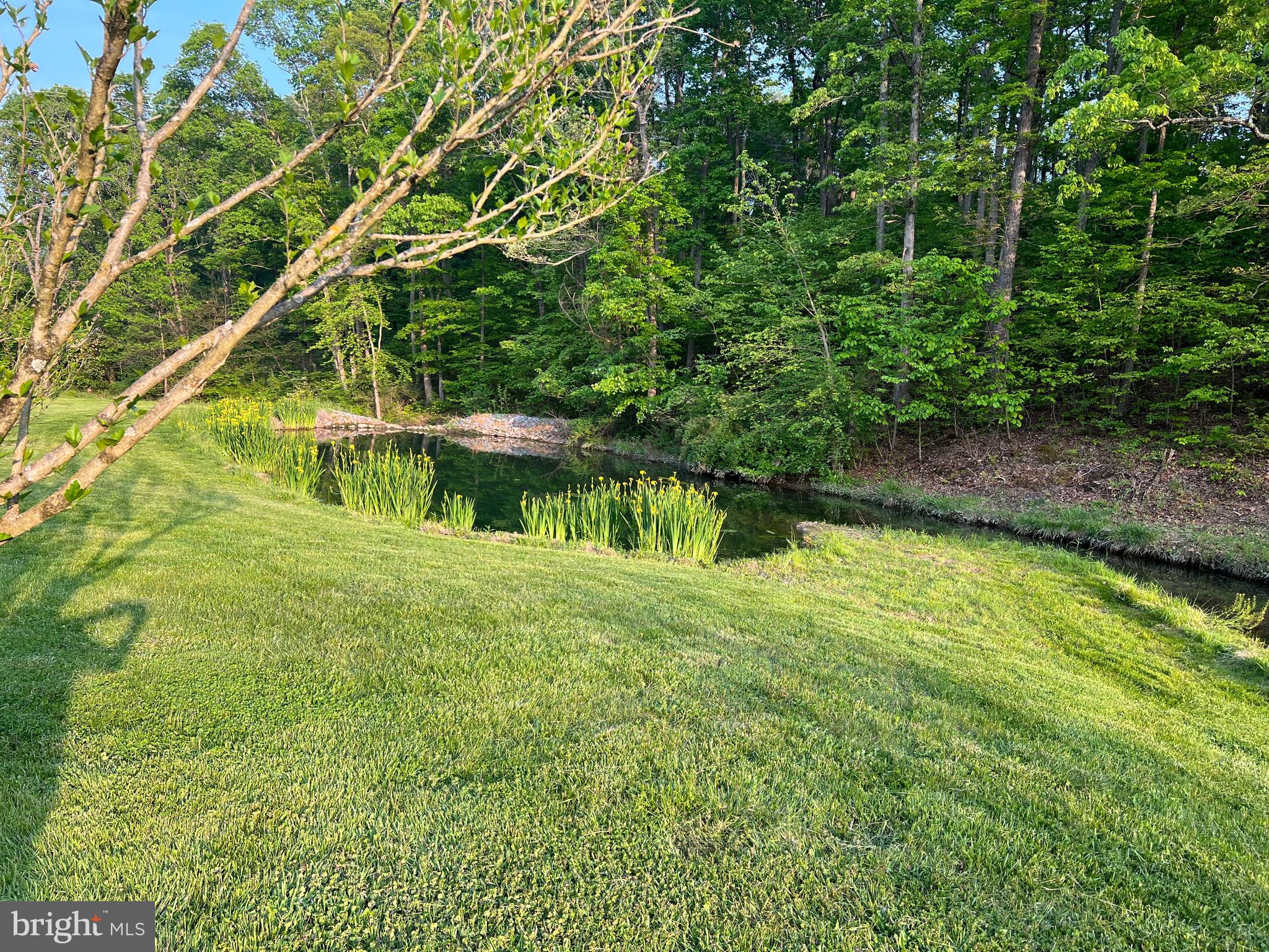 211 Ranger Court Winchester, VA 22602 - Photo 6 of 73